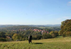Ferienwohnung Friedewald