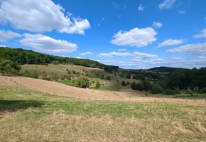 Haus Rosemarie – Ferienhaus nah an der Natur