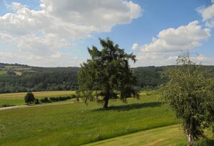 Ferienhaus Bauer – Ferienwohnung 90 qm