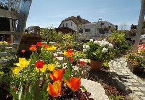 Ferienwohnung Blütentraum – Modern und hochwertig ausgestattete Fewo ****  Blütentraum