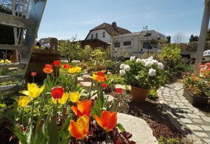 Ferienwohnung Blütentraum – Modern und hochwertig ausgestattete Fewo ****  Blütentraum