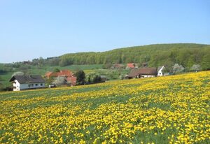 Ferienwohnung Öttersbach – Die Große, Dusche, WC, 2 Schlafräume