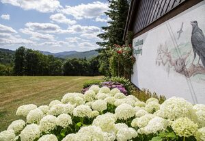 Landhaus Ingeborg – Große Nalle
