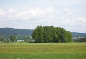 Ferienwohnung am Weissenstädter See