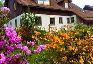 Haus an der Ascha – Ferienwohnung mit 3 Schlafzimmer