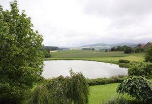 Gasthof-Pension Krämerhof – rustikal eingerichtetes Doppelzimmer ohne Balkon