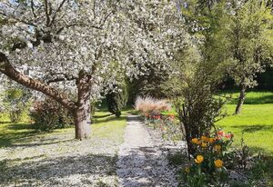 Die Malche Gäste und Tagungshaus 26