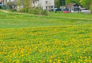 Bellas Mühlbachtal – Einzelzimmer