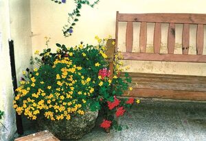 Gasthof-Pension Kesslsimerhof – FW3 70qm
