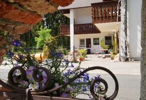 Gasthof Pension Waldfrieden – Doppelzimmer zur Einzelnutzung