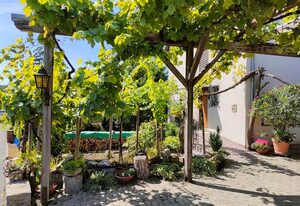 Ferienwohnung Gutermuth Obereisenheim – Ferienwohnung mit 2 Schlafzimmern und Terrasse
