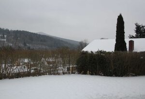 Ferienwohnung mit Terrasse