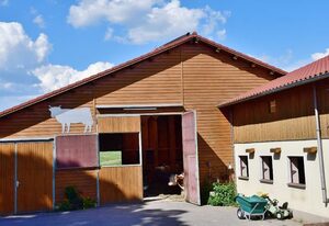 Ferienwohnung Burgerhof – Rote Ferienwohnung 48 qm im 1. Stock