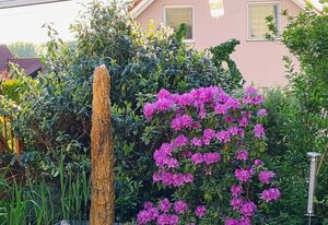 Im Gottesgarten am Obermain – Ferienwohnung