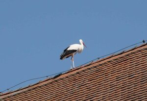 Ferienhof Winkler – Ferienwohnung 1