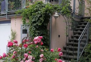 Ferienwohnung Schindler – Ferienwohnung mit Balkon