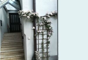 Die Galerie - Ferienwohnung – Ferienwohnung Die Galerie (80qm) mit Balkon und kostenfreiem WLAN