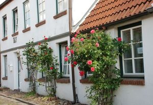 Ferienhaus Altstadtidyll – Ferienwohnung "Gartenidyll" - 2-Raum
