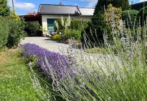 Ferienhaus Amare mit Fasssauna, eigener Terrasse & Kamin