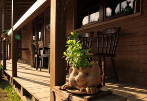 Old West Ranch – Ferienwohnung Cowboy Cottage