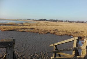 Seaside