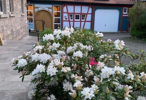 Pension im Vorhof – Ferienwohnung "Lavendel" (60qm) (behindertengerecht) im Erdgeschoss, für bis zu 4 Personen, 1 Doppelbett und 1 Stockbett