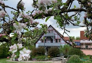 Pension im Vorhof – Ferienwohnung "Lavendel" (60qm) (behindertengerecht) im Erdgeschoss, für bis zu 4 Personen, 1 Doppelbett und 1 Stockbett