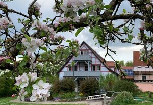 Pension im Vorhof – Ferienwohnung "Lavendel" (60qm) (behindertengerecht) im Erdgeschoss, für bis zu 4 Personen, 1 Doppelbett und 1 Stockbett