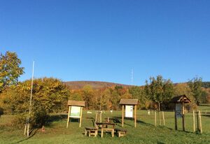 Ferienwohnung Holzheimer – Ferienwohnung Feldberg