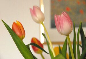 Ferienwohnung Himmelblau