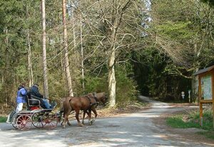 Landgasthaus Zum Mönchshof – Doppelzimmer