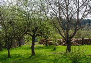 Ferienwohnung Kobelsberg