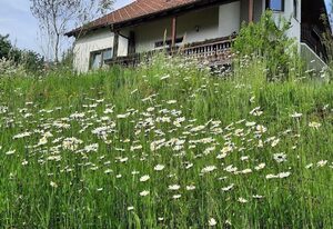 Am Waldesrand – Ferienwohnung Am Waldrand(90 qm) Idyllisch im Grünen mit Balkon