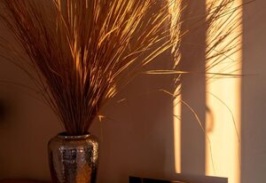 Panoramaapartment am Ochsenkopf – Ferienwohnung