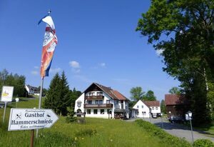 Gasthof Hammerschmiede – Doppelzimmer, Dusche, WC