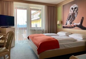 WAGNER´S  Hotel und Restaurant Schönblick – Einzelzimmer, Dusche, WC, Nichtraucher