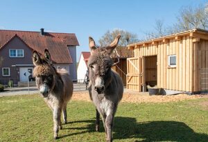 Pension Oppelt – Doppelzimmer