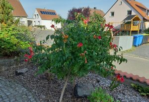 Ferienwohnung Maroldsweisach – Ferienwohnung (80 qm) mit Loggia