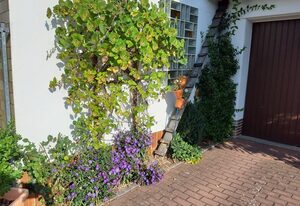 Ferienwohnung Maroldsweisach – Ferienwohnung (80 qm) mit Loggia