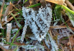 Landmanns Home – Doppelzimmer Balance