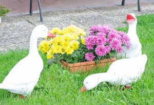 Ferienwohnung Hertel – Ferienwohnung im DG mit Terrasse im Garten