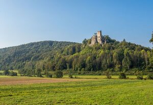 3 Zimmer App. Fränkische Schweiz I Miselgau-Obernsees