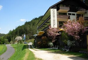 Waldpension Rabeneck – Doppelzimmer Nr. 22