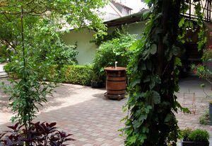 Apartmenthaus "Zum Birnbaum" – Ferienwohnung 1