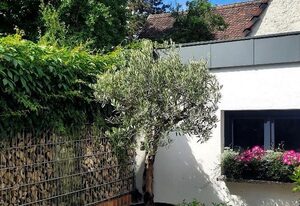 Modernes Ferienappartement "An der Steige" – Modernes Apartment