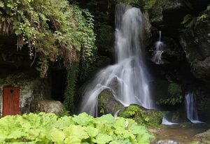 Lichtenhainer Wasserfall – Doppelzimmer, Dusche, WC