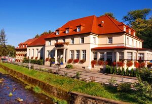 Sächsisches Haus - Hotel & Restaurant – Einzelzimmer mit 1,40 Bett und Dachschräge
