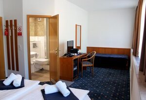 Sächsisches Haus - Hotel & Restaurant – Einzelzimmer mit 1,40 Bett und Dachschräge