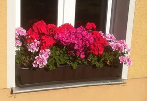 Ferienwohnung Rauscher
