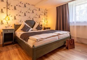 Landhotel Gutshof – Doppelzimmer, Dusche oder Bad, WC, 1 Schlafraum